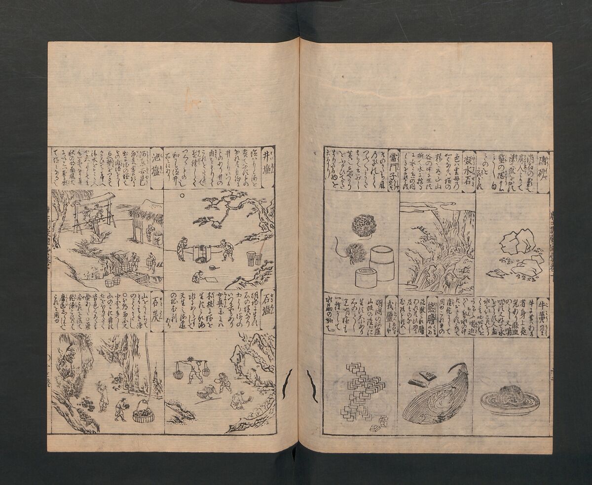 Illustrated Encyclopedia of China (Morokoshi kinmō zui) 唐土訓蒙図彙, Tachibana Morikuni 橘守国 (Japanese, 1679–1748), Set of two woodblock printed books; ink on paper, Japan