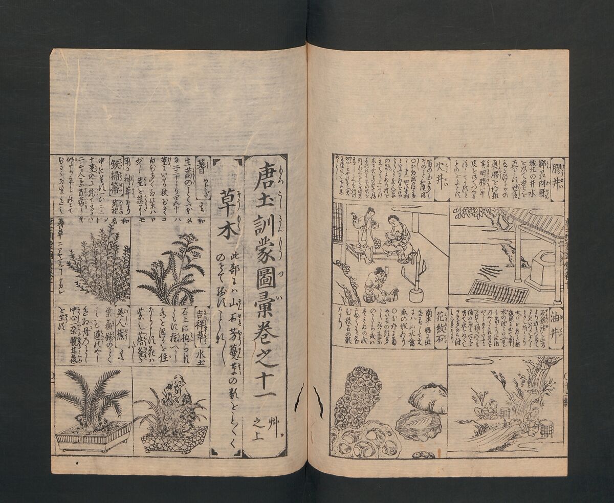 Illustrated Encyclopedia of China (Morokoshi kinmō zui) 唐土訓蒙図彙, Tachibana Morikuni 橘守国 (Japanese, 1679–1748), Set of two woodblock printed books; ink on paper, Japan