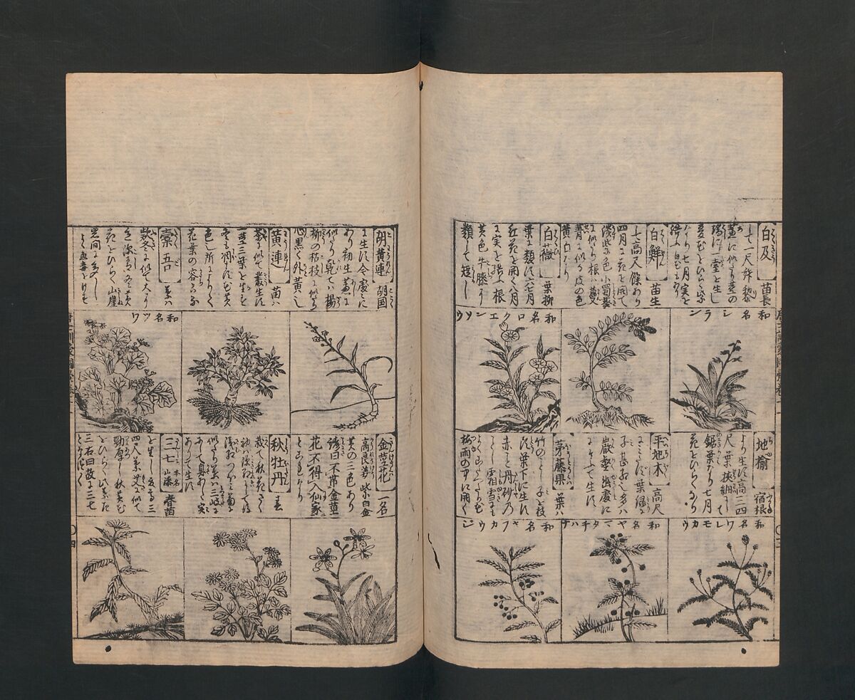 Illustrated Encyclopedia of China (Morokoshi kinmō zui) 唐土訓蒙図彙, Tachibana Morikuni 橘守国 (Japanese, 1679–1748), Set of two woodblock printed books; ink on paper, Japan