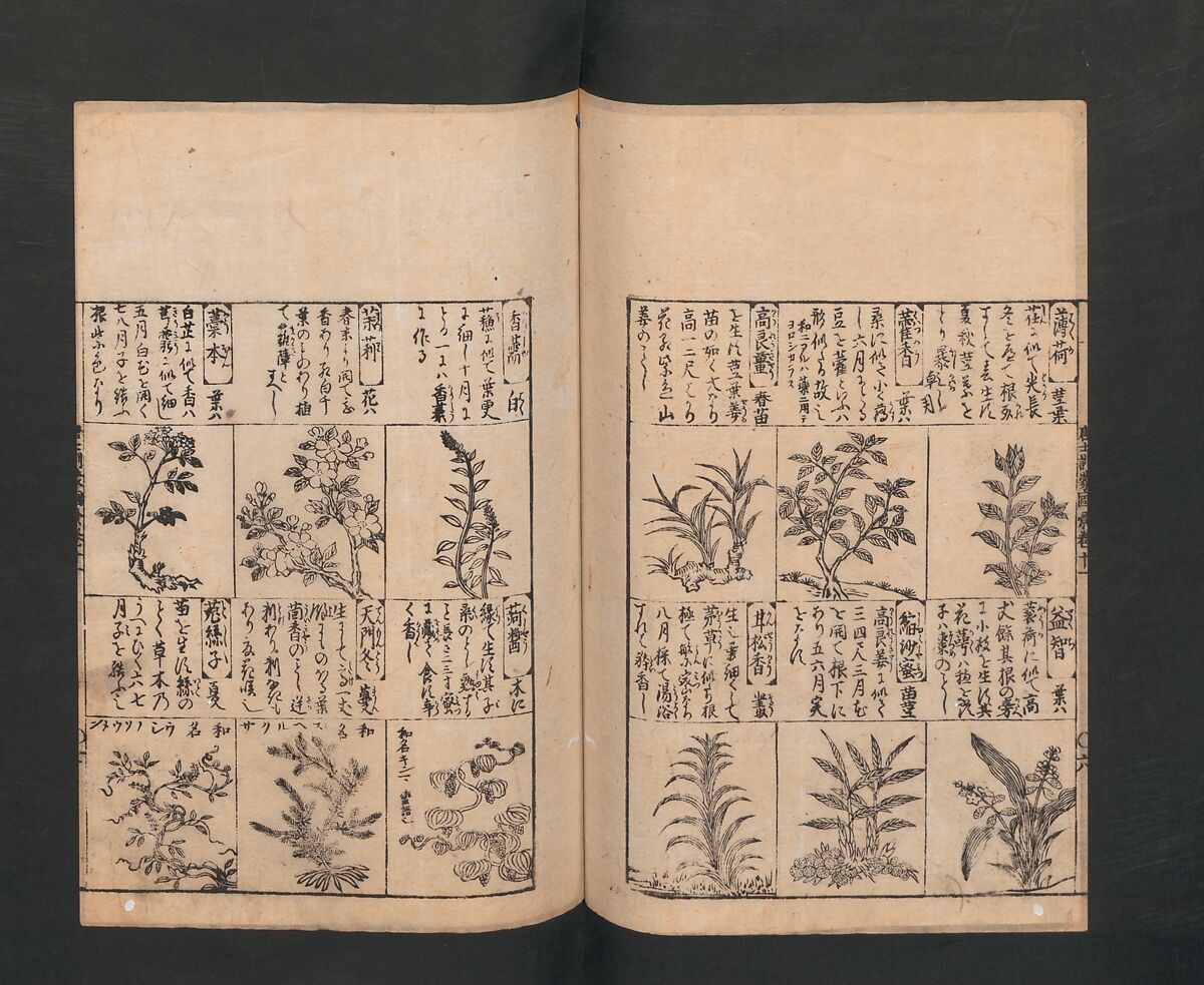 Illustrated Encyclopedia of China (Morokoshi kinmō zui) 唐土訓蒙図彙, Tachibana Morikuni 橘守国 (Japanese, 1679–1748), Set of two woodblock printed books; ink on paper, Japan