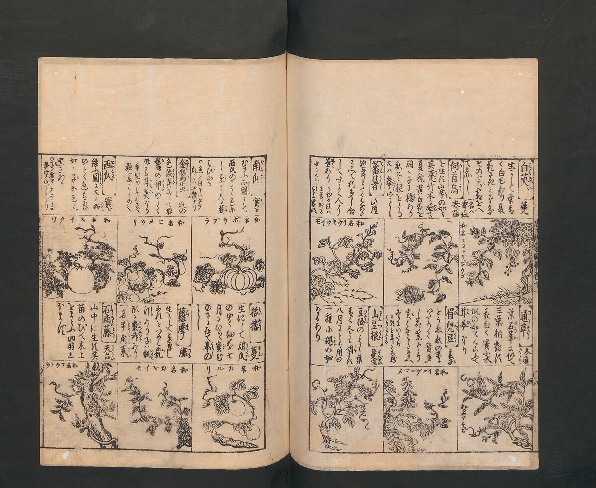 Illustrated Encyclopedia of China (Morokoshi kinmō zui) 唐土訓蒙図彙, Tachibana Morikuni 橘守国 (Japanese, 1679–1748), Set of two woodblock printed books; ink on paper, Japan