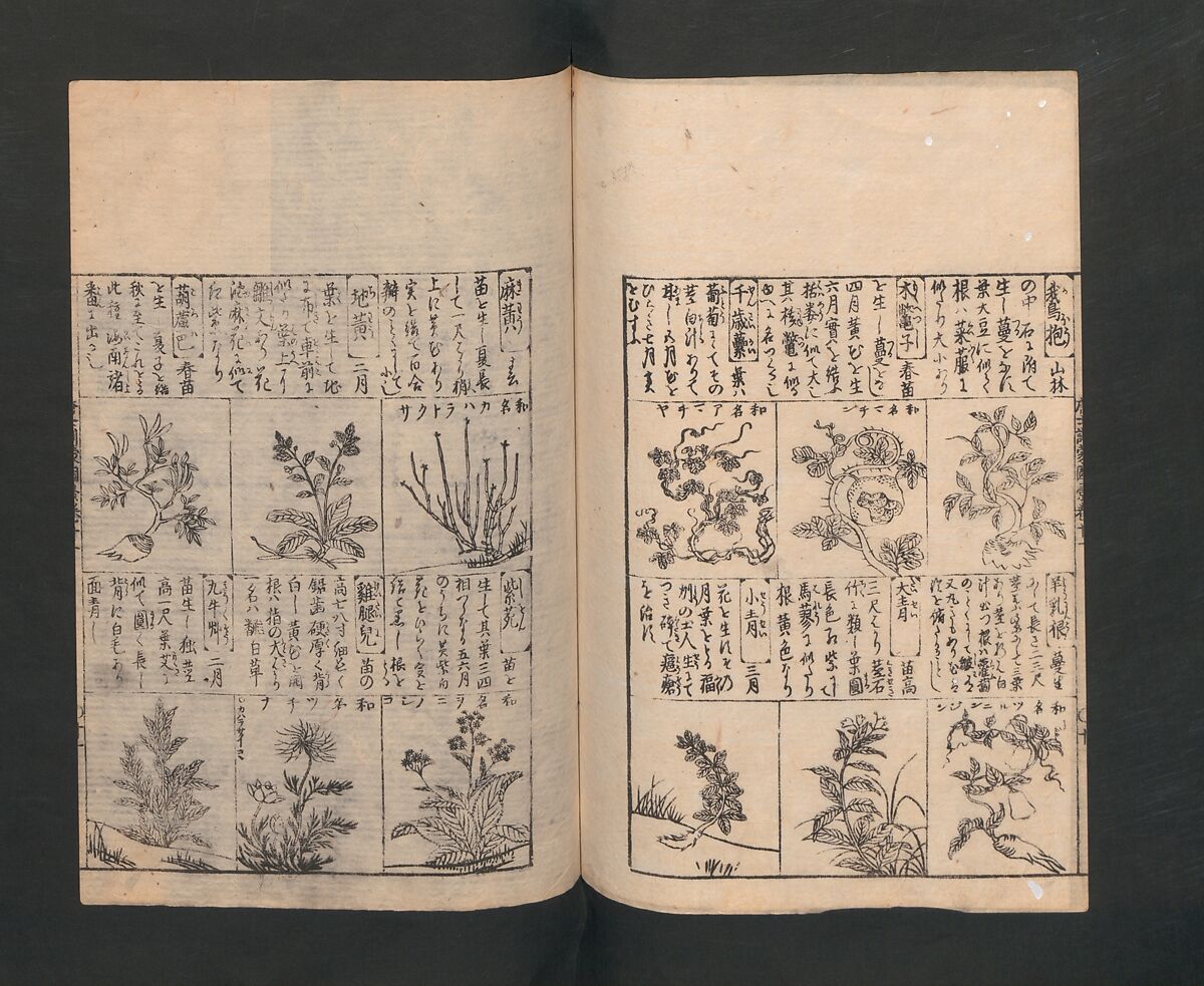 Illustrated Encyclopedia of China (Morokoshi kinmō zui) 唐土訓蒙図彙, Tachibana Morikuni 橘守国 (Japanese, 1679–1748), Set of two woodblock printed books; ink on paper, Japan
