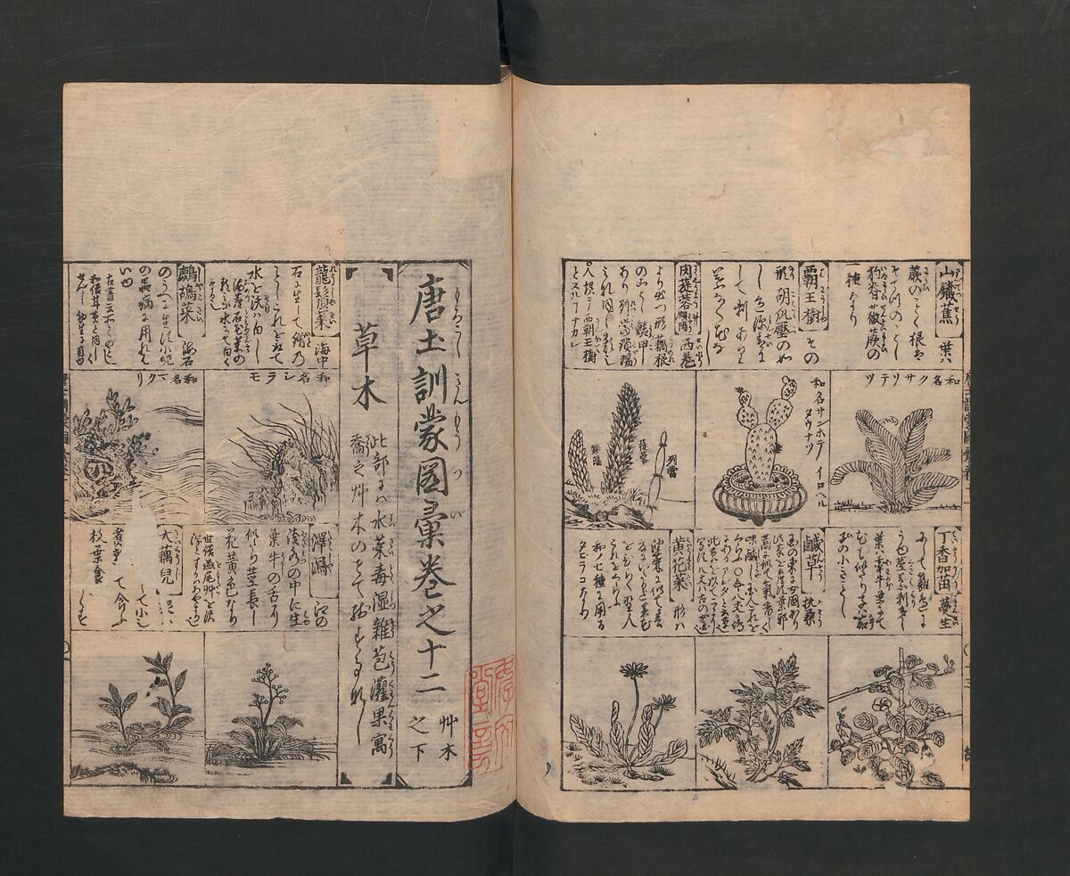 Illustrated Encyclopedia of China (Morokoshi kinmō zui) 唐土訓蒙図彙, Tachibana Morikuni 橘守国 (Japanese, 1679–1748), Set of two woodblock printed books; ink on paper, Japan