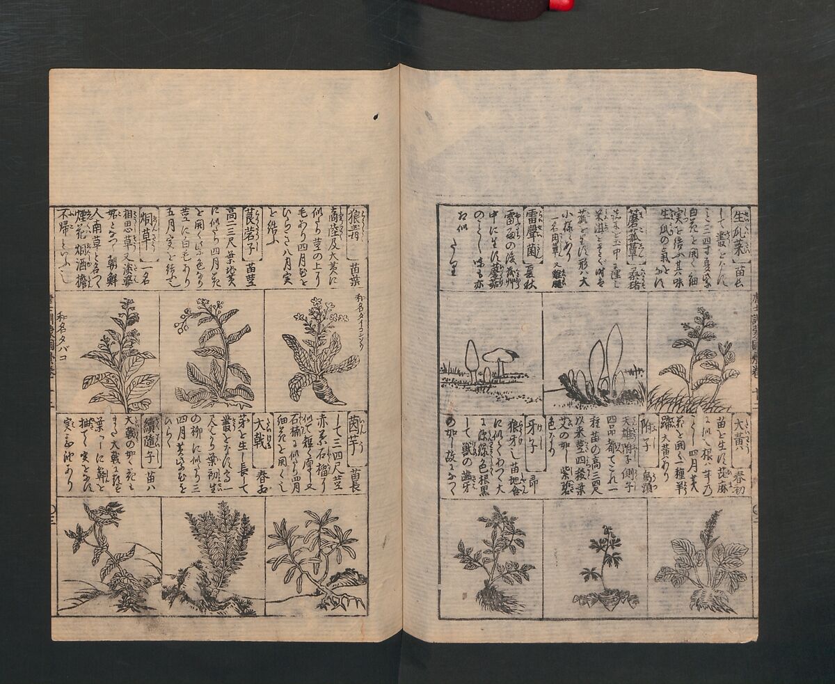 Illustrated Encyclopedia of China (Morokoshi kinmō zui) 唐土訓蒙図彙, Tachibana Morikuni 橘守国 (Japanese, 1679–1748), Set of two woodblock printed books; ink on paper, Japan