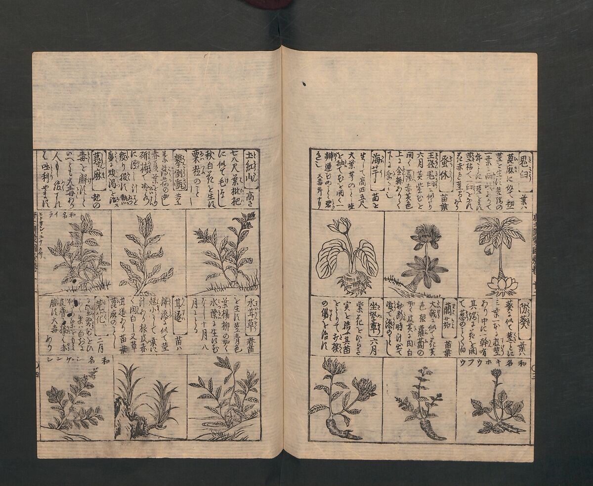 Illustrated Encyclopedia of China (Morokoshi kinmō zui) 唐土訓蒙図彙, Tachibana Morikuni 橘守国 (Japanese, 1679–1748), Set of two woodblock printed books; ink on paper, Japan