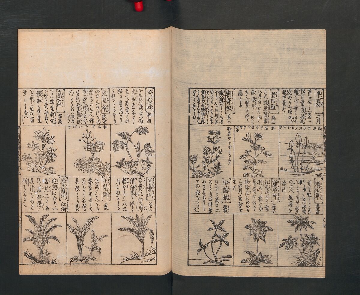 Illustrated Encyclopedia of China (Morokoshi kinmō zui) 唐土訓蒙図彙, Tachibana Morikuni 橘守国 (Japanese, 1679–1748), Set of two woodblock printed books; ink on paper, Japan