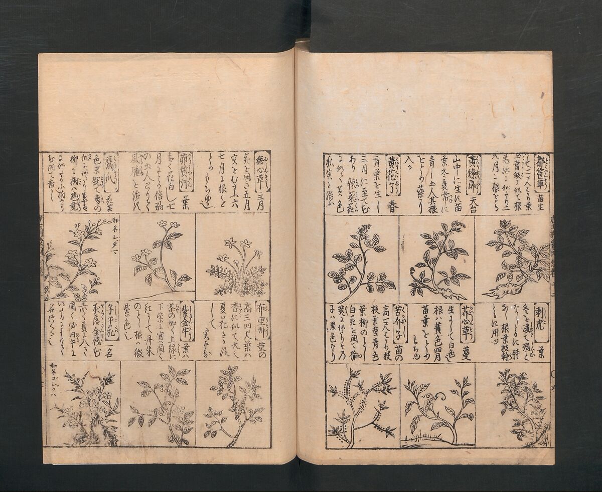 Illustrated Encyclopedia of China (Morokoshi kinmō zui) 唐土訓蒙図彙, Tachibana Morikuni 橘守国 (Japanese, 1679–1748), Set of two woodblock printed books; ink on paper, Japan