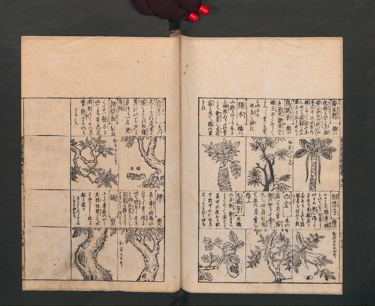Illustrated Encyclopedia of China (Morokoshi kinmō zui) 唐土訓蒙図彙, Tachibana Morikuni 橘守国 (Japanese, 1679–1748), Set of two woodblock printed books; ink on paper, Japan