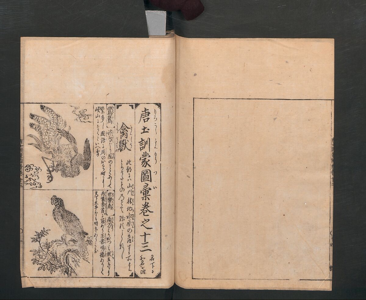 Illustrated Encyclopedia of China (Morokoshi kinmō zui) 唐土訓蒙図彙, Tachibana Morikuni 橘守国 (Japanese, 1679–1748), Set of two woodblock printed books; ink on paper, Japan