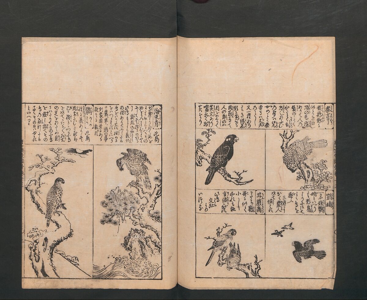 Illustrated Encyclopedia of China (Morokoshi kinmō zui) 唐土訓蒙図彙, Tachibana Morikuni 橘守国 (Japanese, 1679–1748), Set of two woodblock printed books; ink on paper, Japan
