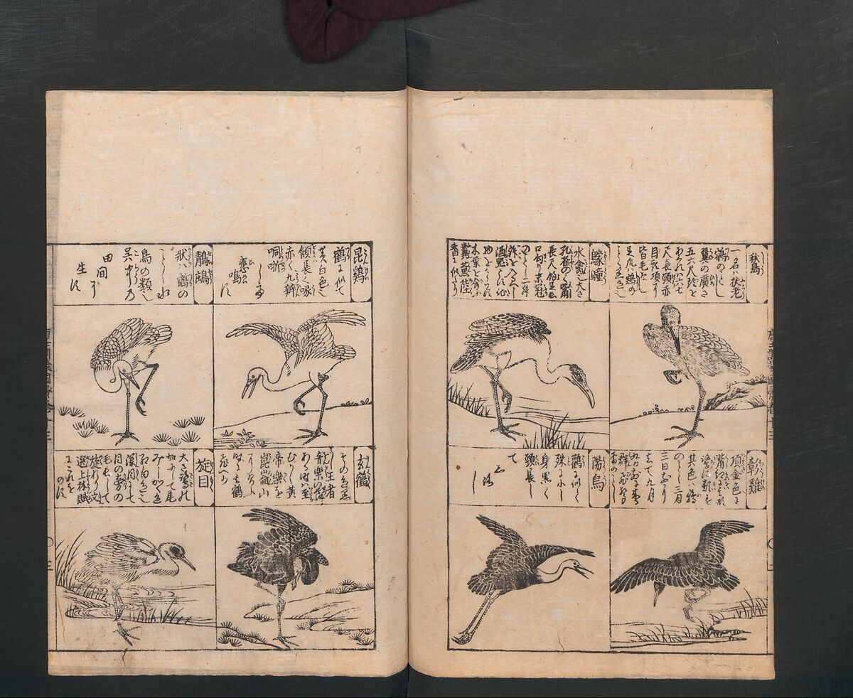 Illustrated Encyclopedia of China (Morokoshi kinmō zui) 唐土訓蒙図彙, Tachibana Morikuni 橘守国 (Japanese, 1679–1748), Set of two woodblock printed books; ink on paper, Japan