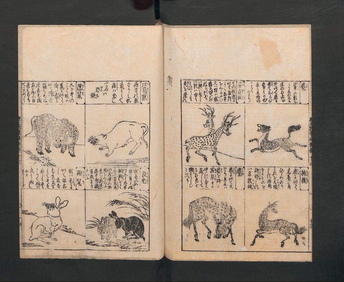 Illustrated Encyclopedia of China (Morokoshi kinmō zui) 唐土訓蒙図彙, Tachibana Morikuni 橘守国 (Japanese, 1679–1748), Set of two woodblock printed books; ink on paper, Japan