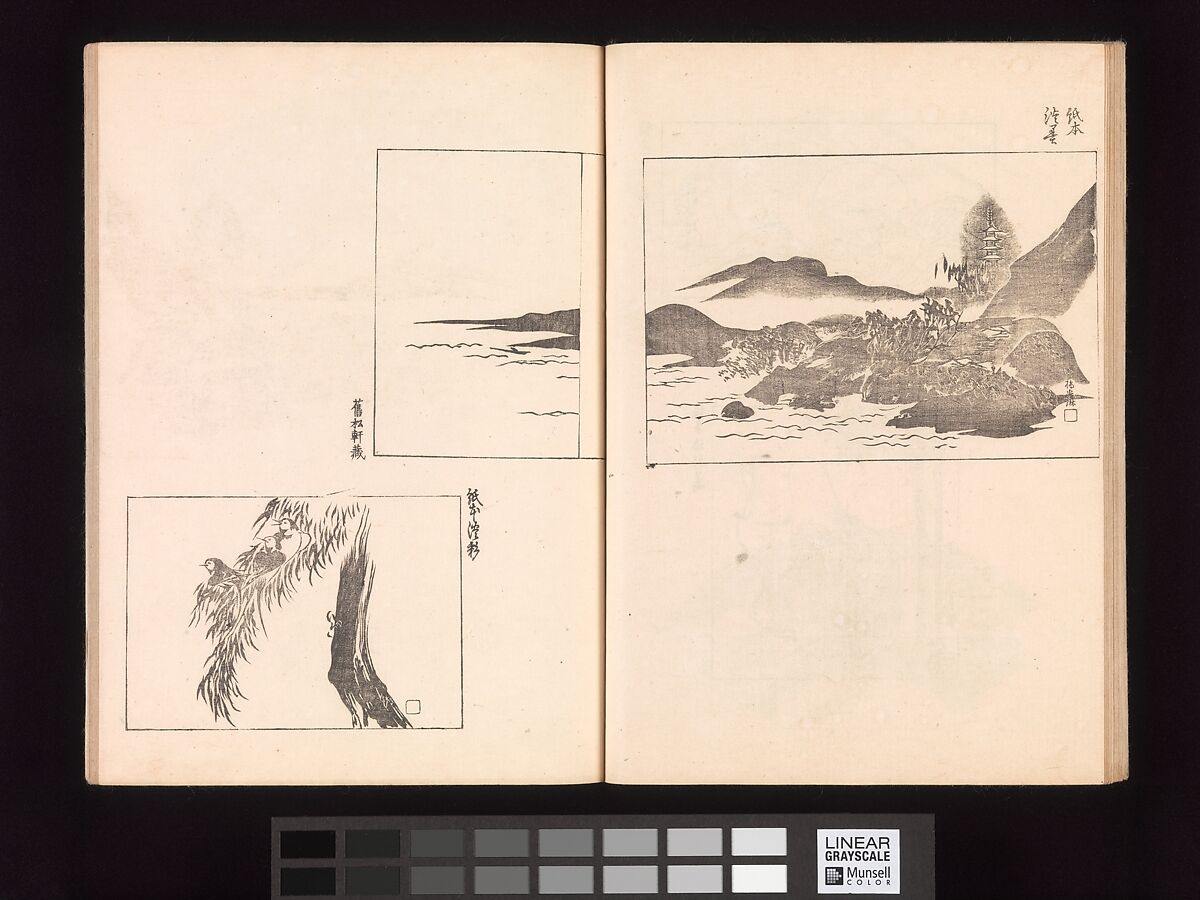 One Hundred Newly Selected Designs by Kōrin (Kōrin shinsen hyakuzu), Ogata Kōrin (Japanese, 1658–1716), Two volumes of Woodblock printed books; ink on paper, Japan