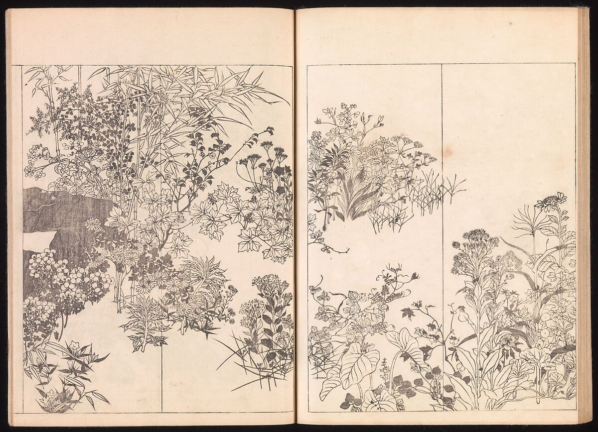 One Hundred Newly Selected Designs by Kōrin (Kōrin shinsen hyakuzu), Ogata Kōrin (Japanese, 1658–1716), Two volumes of Woodblock printed books; ink on paper, Japan
