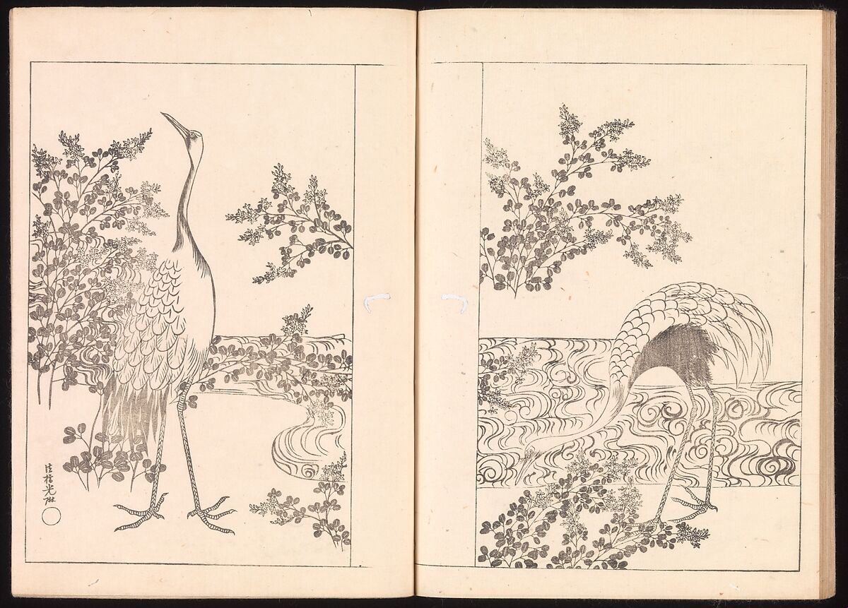 One Hundred Newly Selected Designs by Kōrin (Kōrin shinsen hyakuzu), Ogata Kōrin (Japanese, 1658–1716), Two volumes of Woodblock printed books; ink on paper, Japan