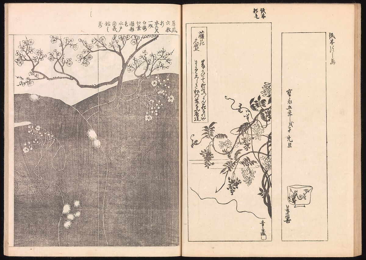One Hundred Newly Selected Designs by Kōrin (Kōrin shinsen hyakuzu), Ogata Kōrin (Japanese, 1658–1716), Two volumes of Woodblock printed books; ink on paper, Japan