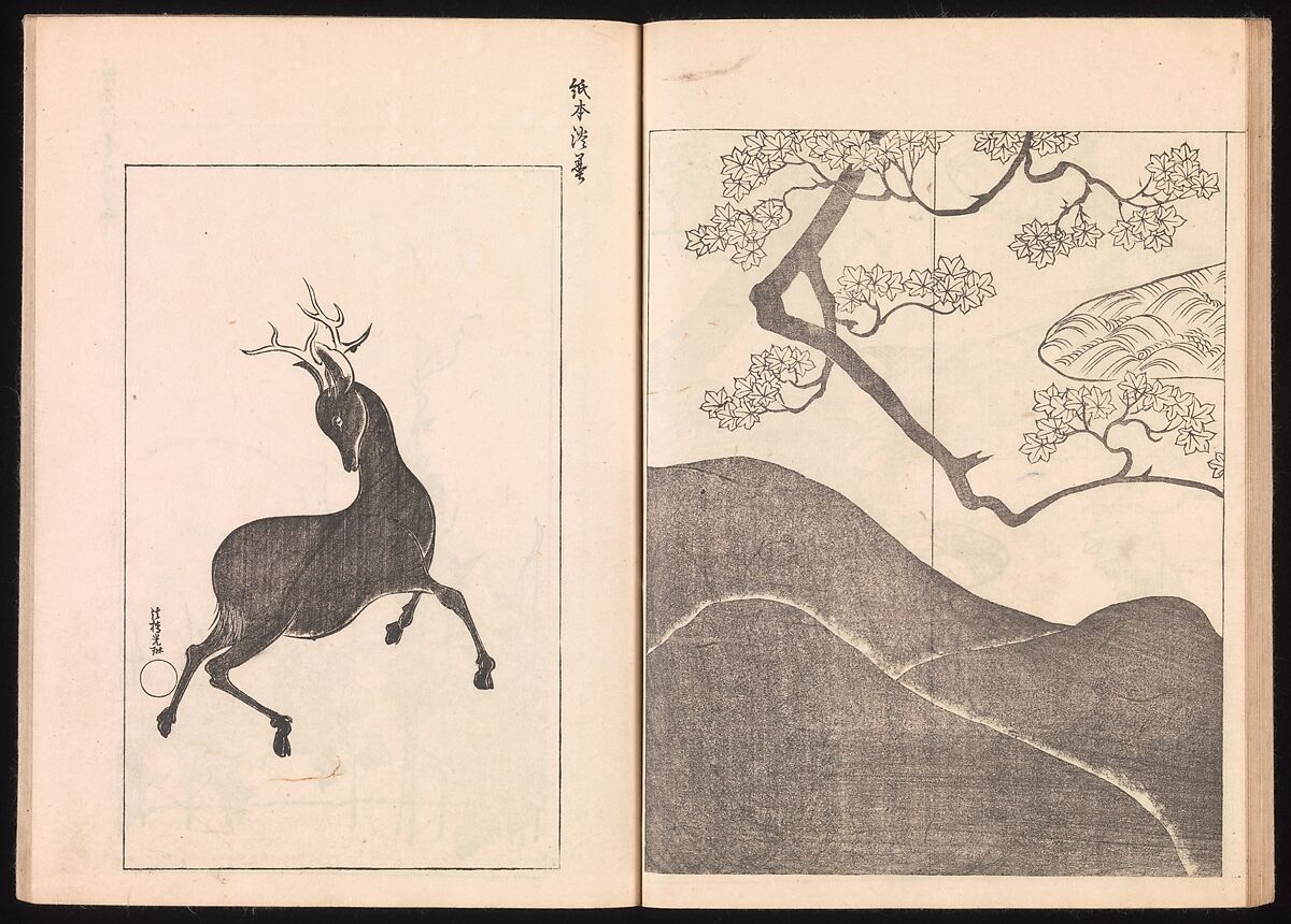 One Hundred Newly Selected Designs by Kōrin (Kōrin shinsen hyakuzu), Ogata Kōrin (Japanese, 1658–1716), Two volumes of Woodblock printed books; ink on paper, Japan