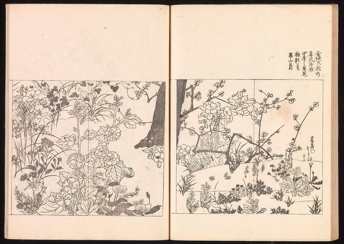 One Hundred Newly Selected Designs by Kōrin (Kōrin shinsen hyakuzu), Ogata Kōrin (Japanese, 1658–1716), Two volumes of Woodblock printed books; ink on paper, Japan