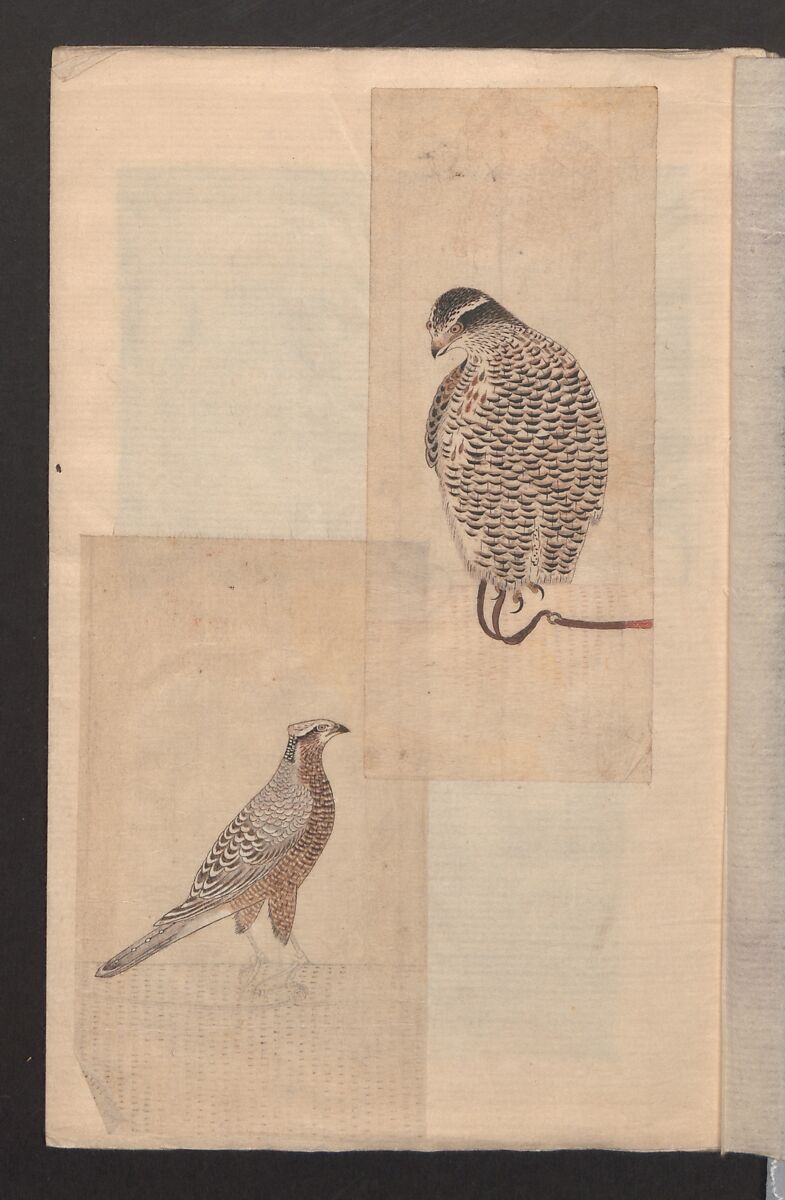 Album of Sketches for Lacquer Decoration (Makie shitae no zu) 蒔絵下絵の図, Unidentified artist, Ink and color on paper, Japan