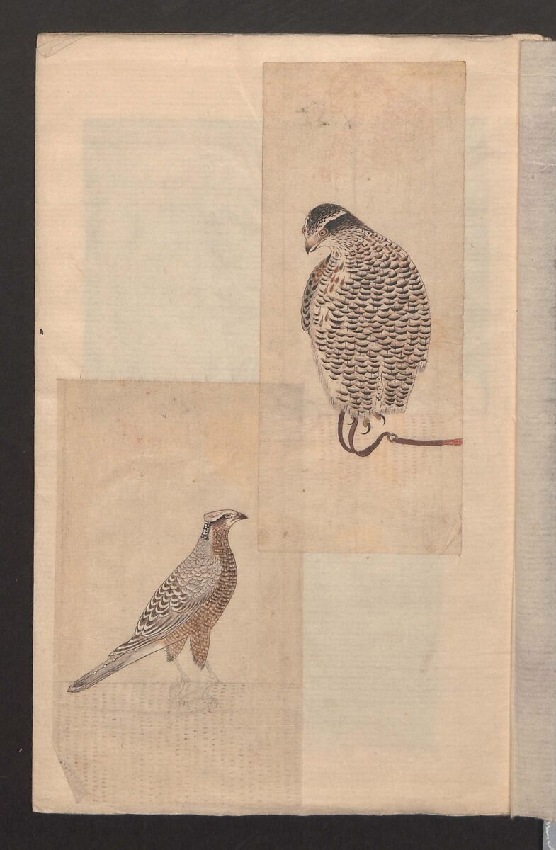 Album of Sketches for Lacquer Decoration, Unidentified artist, Ink and color on paper, Japan 