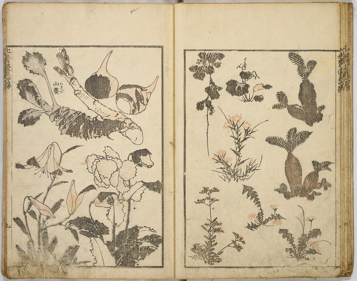 Random Sketches by Hokusai, Katsushika Hokusai (Japanese, Tokyo (Edo) 1760–1849 Tokyo (Edo)), Eight volumes of woodblock printed books; ink and color on paper, Japan