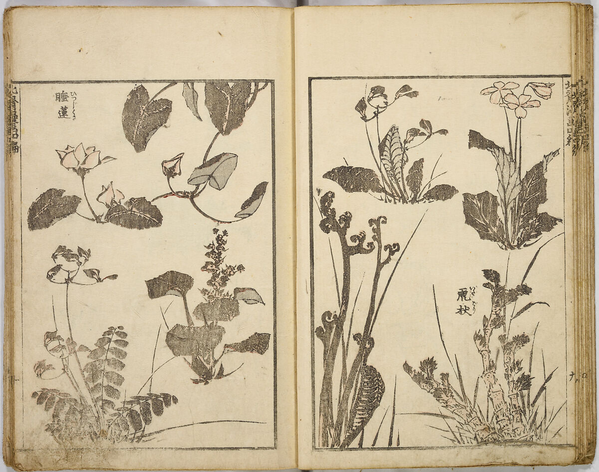 Random Sketches by Hokusai, Katsushika Hokusai (Japanese, Tokyo (Edo) 1760–1849 Tokyo (Edo)), Eight volumes of woodblock printed books; ink and color on paper, Japan