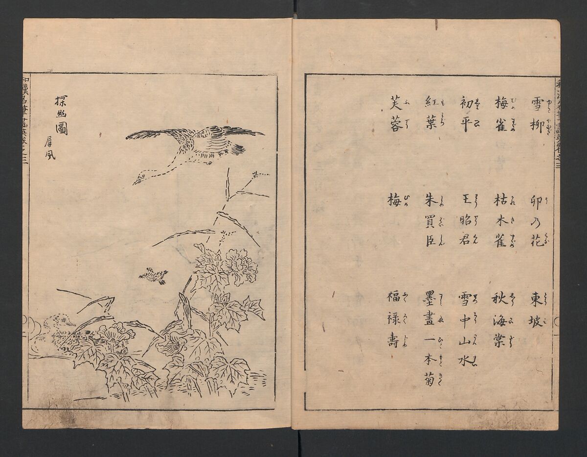 Illustrated book (Gaei wakan meihitsu) 画英和漢名筆, After Kano Tan'yū 狩野探幽 (Japanese, 1602–1674), Monochrome woodblock print; ink on paper, Japan