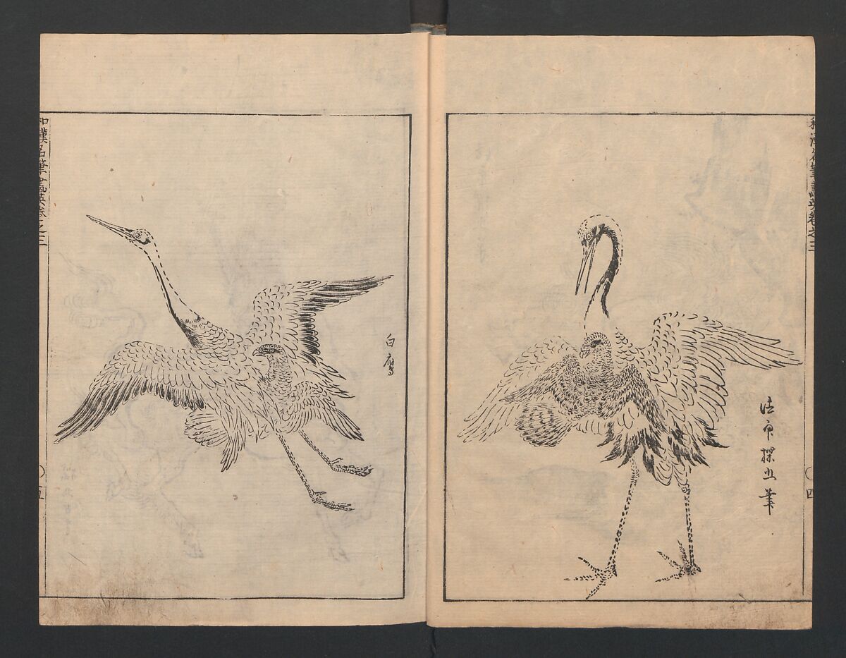 Illustrated book (Gaei wakan meihitsu) 画英和漢名筆, After Kano Tan'yū 狩野探幽 (Japanese, 1602–1674), Monochrome woodblock print; ink on paper, Japan