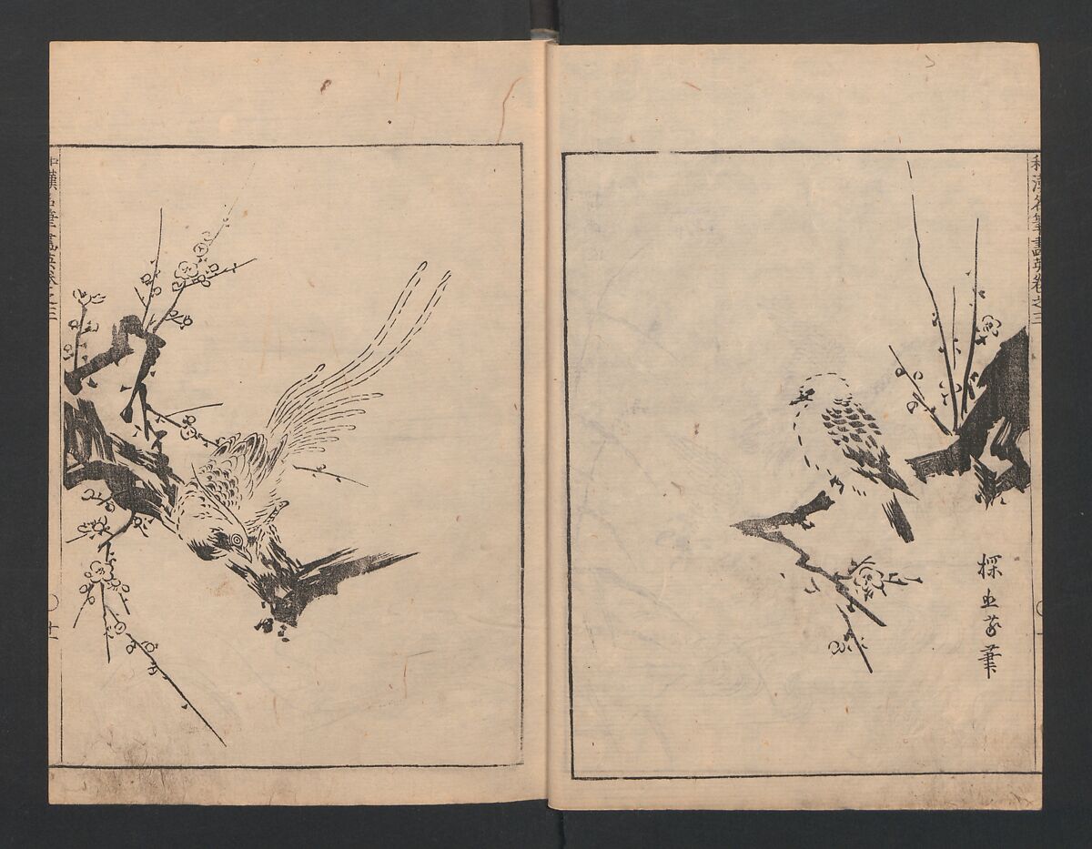 Illustrated book (Gaei wakan meihitsu) 画英和漢名筆, After Kano Tan'yū 狩野探幽 (Japanese, 1602–1674), Monochrome woodblock print; ink on paper, Japan