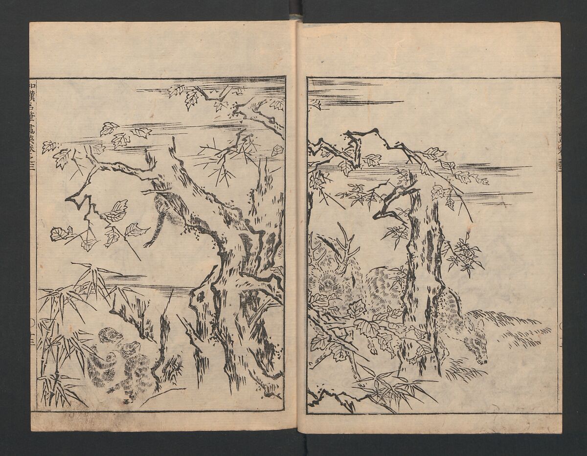 Illustrated book (Gaei wakan meihitsu) 画英和漢名筆, After Kano Tan'yū 狩野探幽 (Japanese, 1602–1674), Monochrome woodblock print; ink on paper, Japan