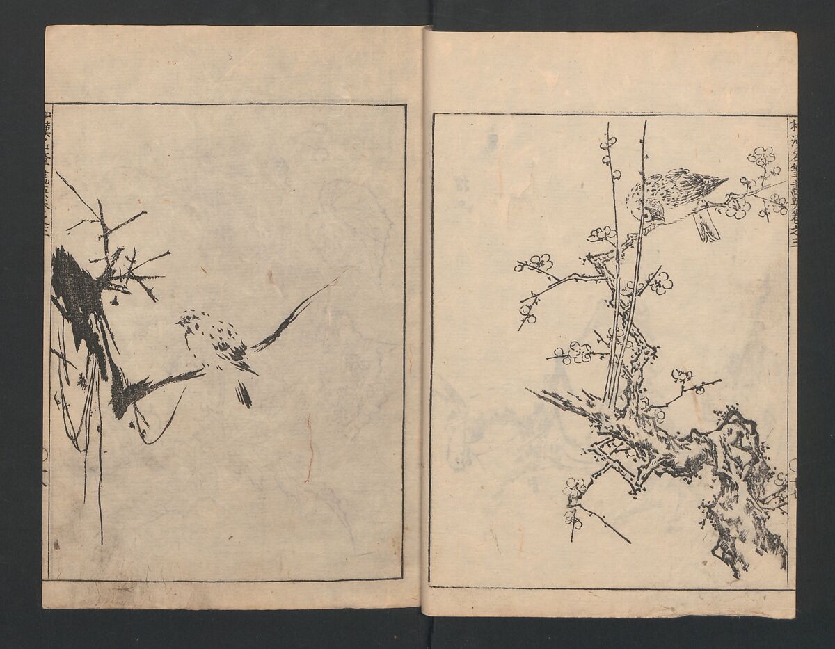 Illustrated book (Gaei wakan meihitsu) 画英和漢名筆, After Kano Tan'yū 狩野探幽 (Japanese, 1602–1674), Monochrome woodblock print; ink on paper, Japan