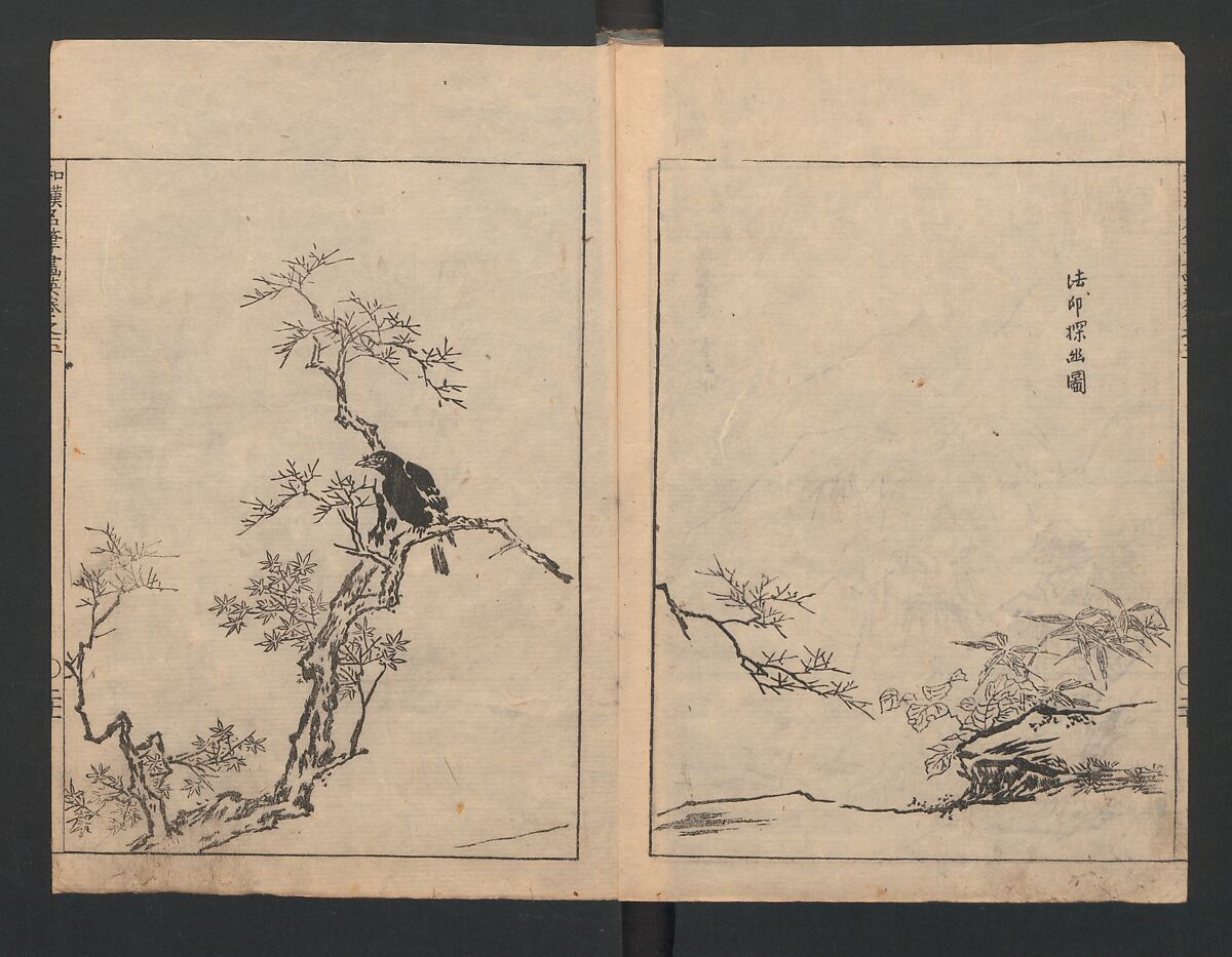 Illustrated book (Gaei wakan meihitsu) 画英和漢名筆, After Kano Tan'yū 狩野探幽 (Japanese, 1602–1674), Monochrome woodblock print; ink on paper, Japan