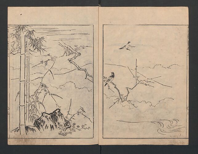 Illustrated book