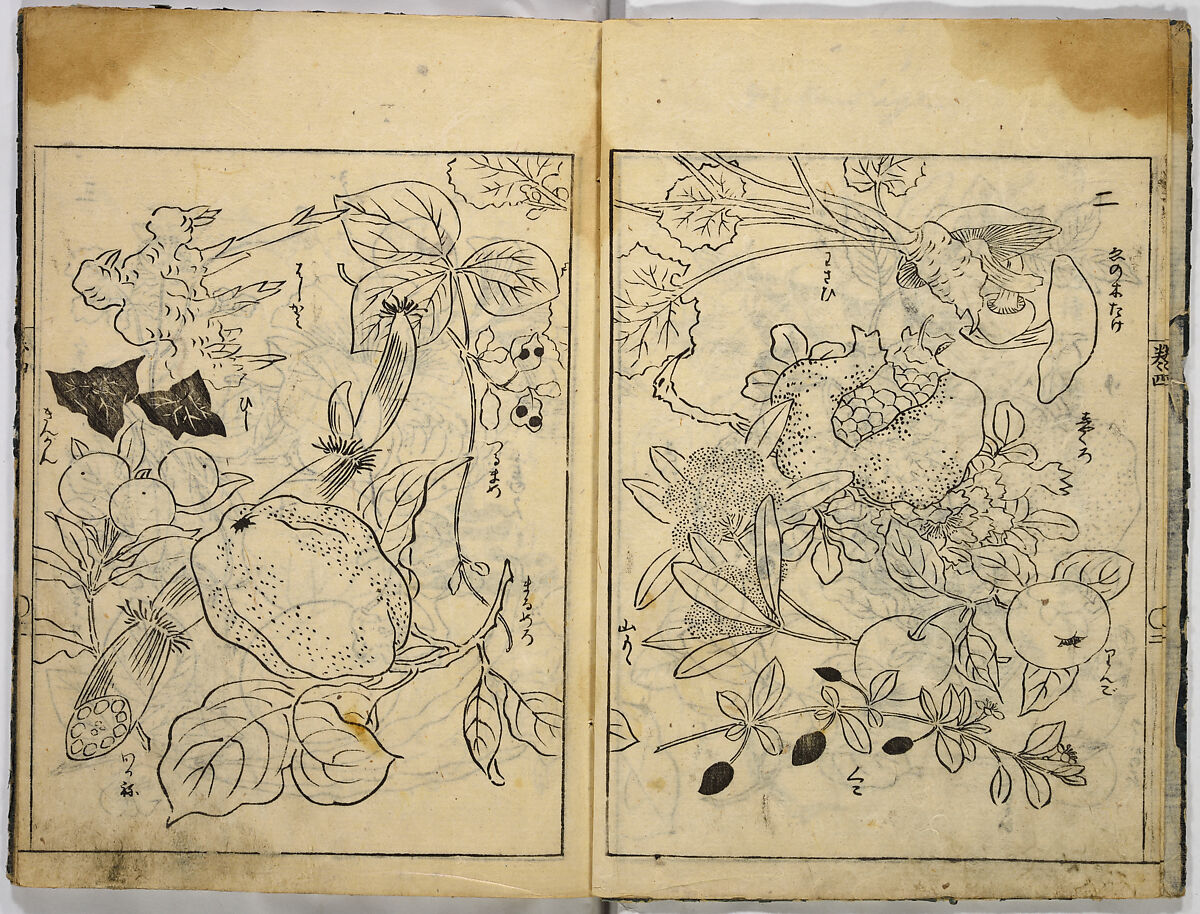 Collection of Pictures, After Tosa School, Ink on paper, Japan