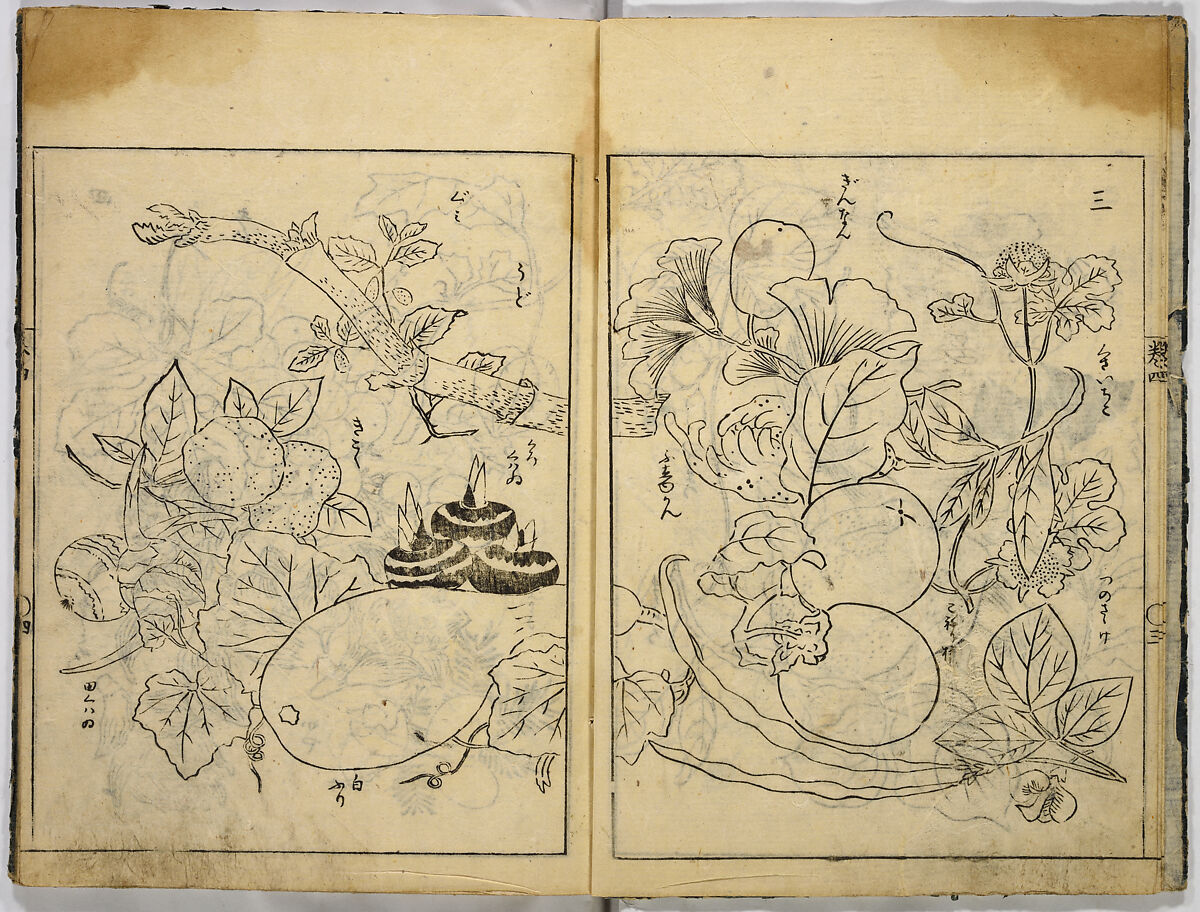 Collection of Pictures, After Tosa School, Ink on paper, Japan