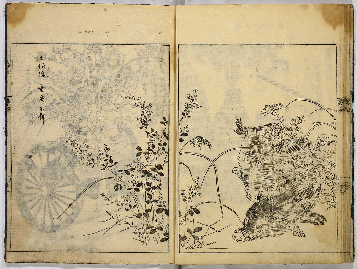 Collection of Pictures, After Tosa School, Ink on paper, Japan