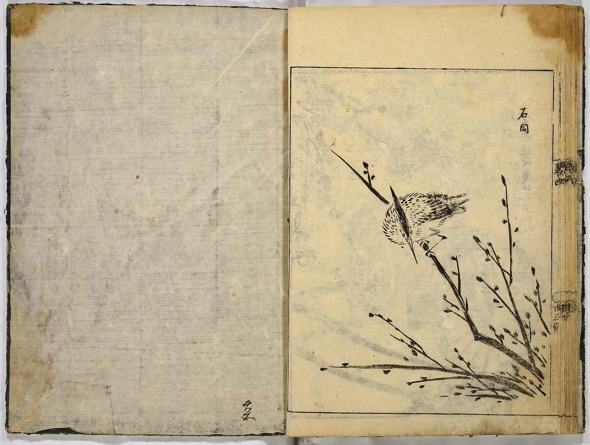 Collection of Pictures, After Tosa School, Ink on paper, Japan