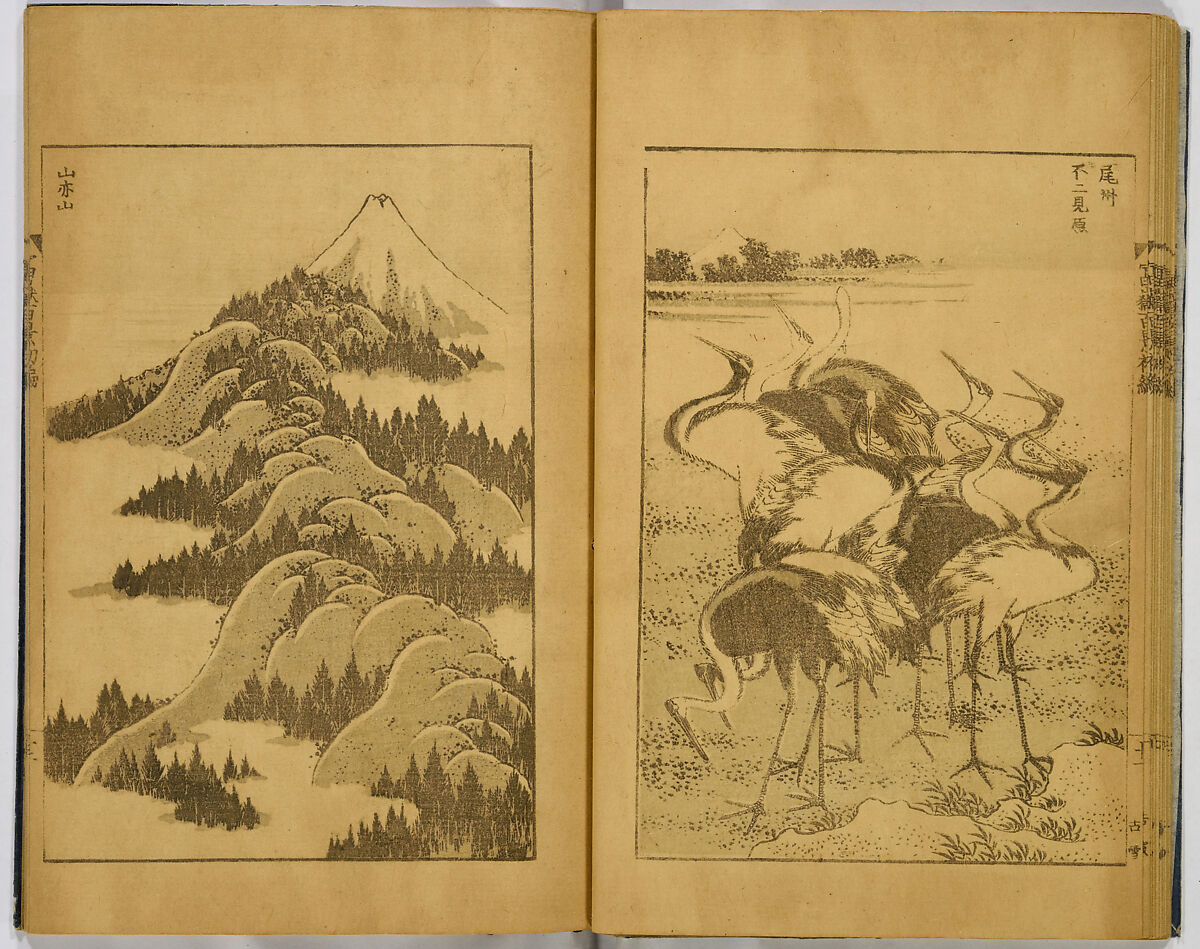 Hundred Views of Fuji, Katsushika Hokusai (Japanese, Tokyo (Edo) 1760–1849 Tokyo (Edo)), Ink on paper, Japan