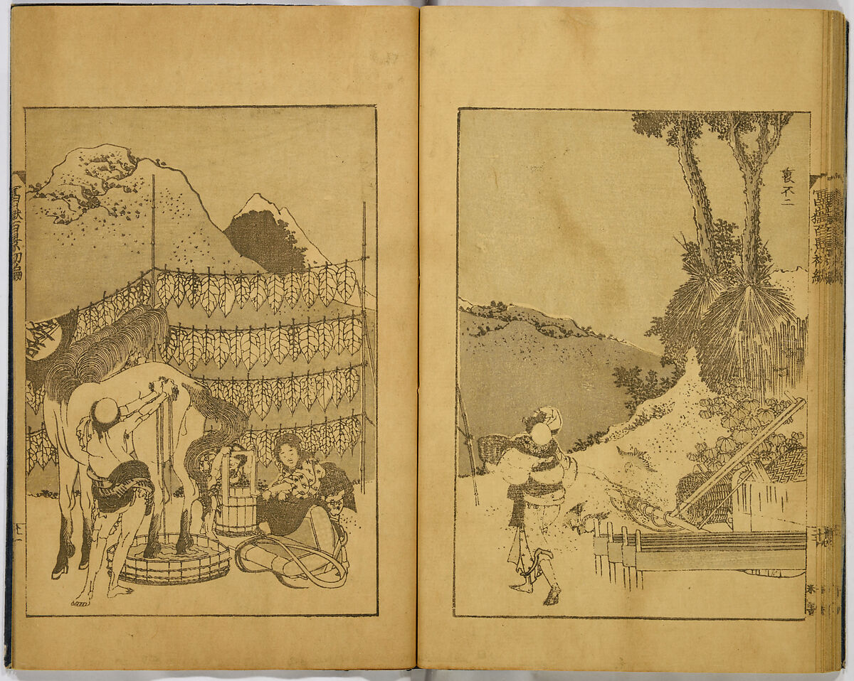 Hundred Views of Fuji, Katsushika Hokusai (Japanese, Tokyo (Edo) 1760–1849 Tokyo (Edo)), Ink on paper, Japan