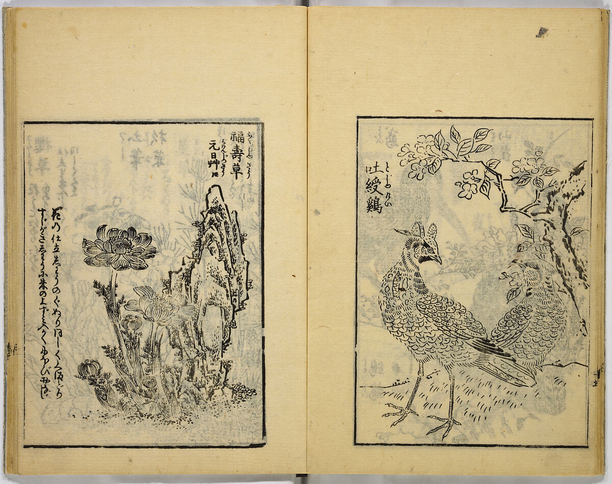 Model Painting Book, Unidentified artist Japanese, Fifty-seven black and white illustrations; ink on paper, Japan