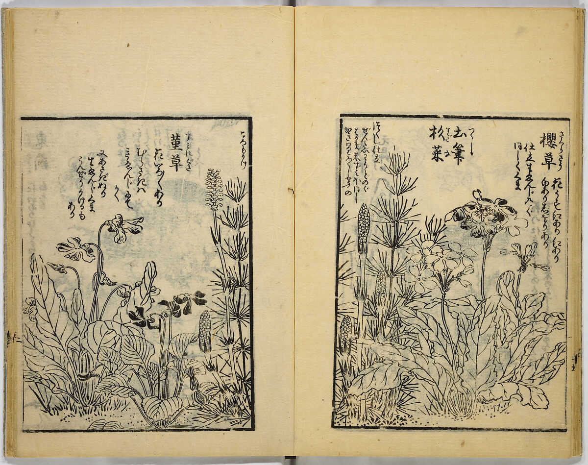 Model Painting Book, Unidentified artist Japanese, Fifty-seven black and white illustrations; ink on paper, Japan