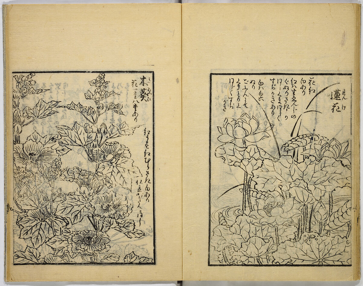 Model Painting Book, Unidentified artist Japanese, Fifty-seven black and white illustrations; ink on paper, Japan