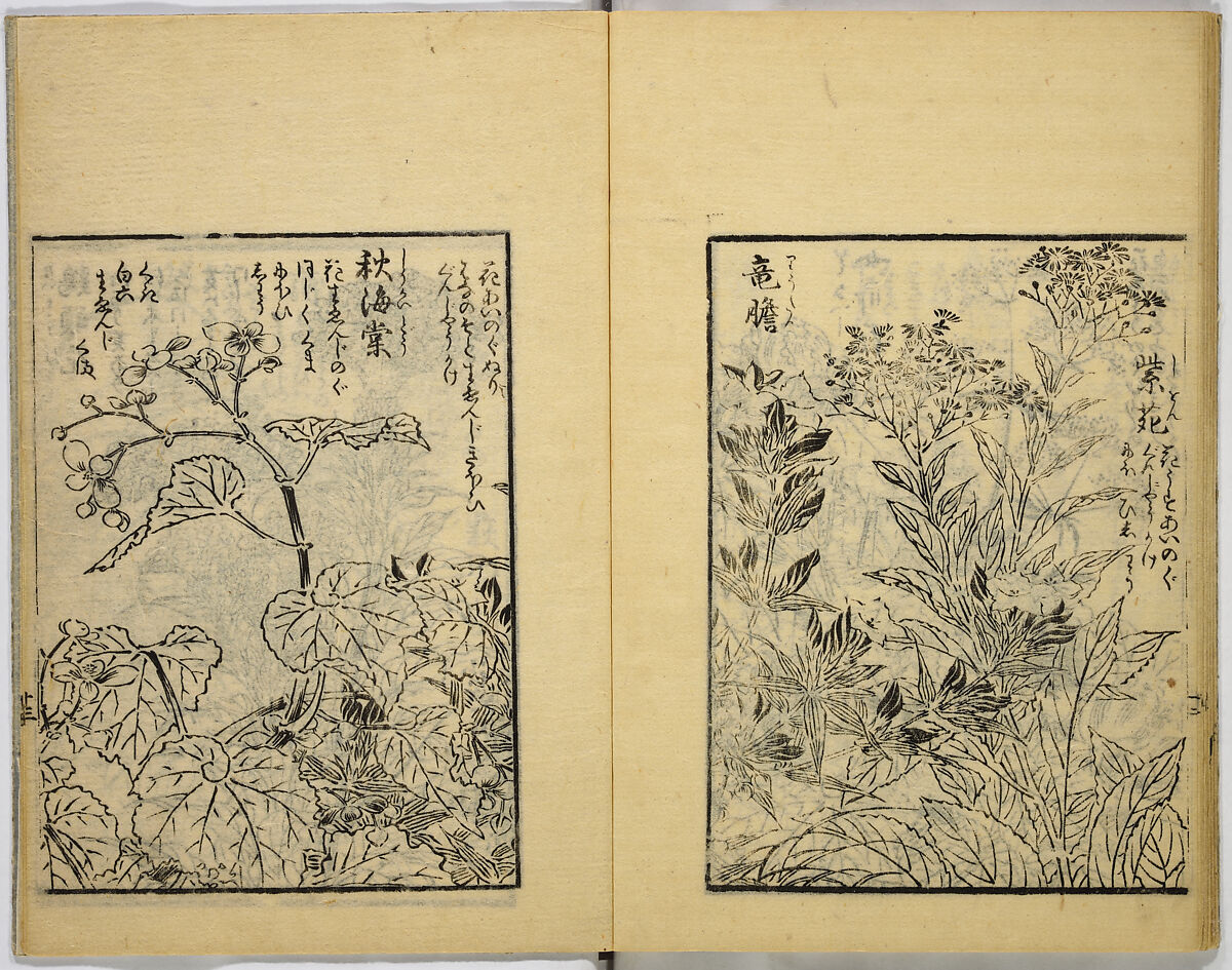 Model Painting Book, Unidentified artist Japanese, Fifty-seven black and white illustrations; ink on paper, Japan