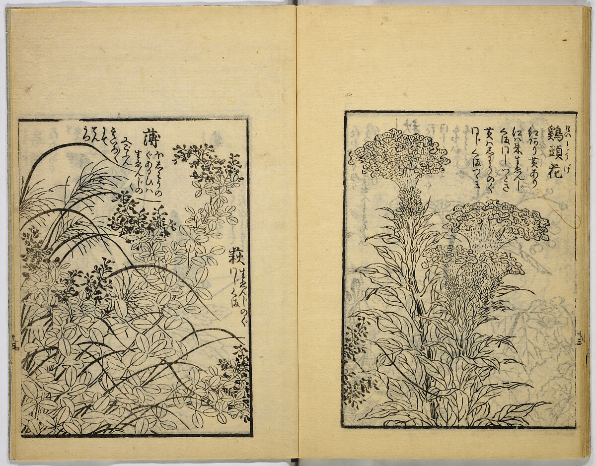 Model Painting Book, Unidentified artist Japanese, Fifty-seven black and white illustrations; ink on paper, Japan