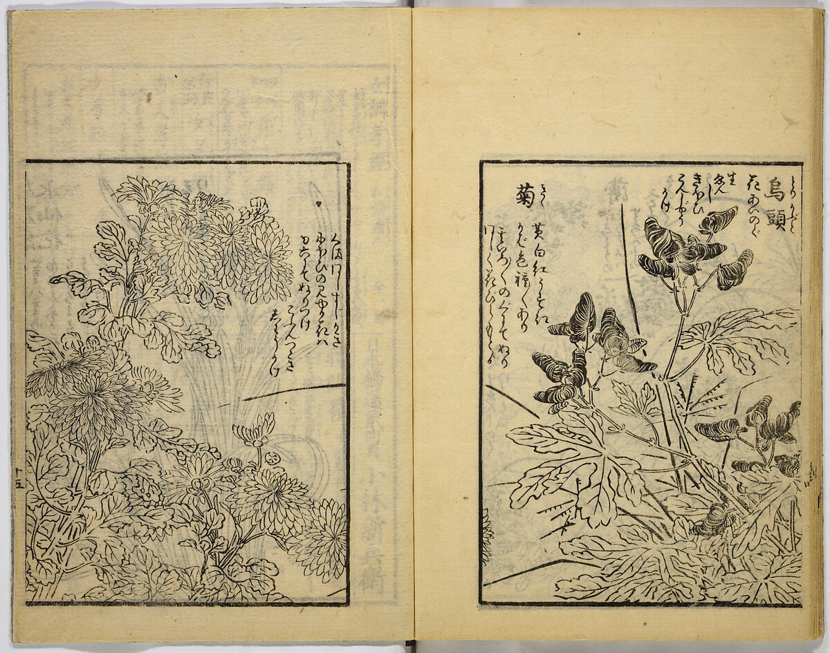 Model Painting Book, Unidentified artist Japanese, Fifty-seven black and white illustrations; ink on paper, Japan