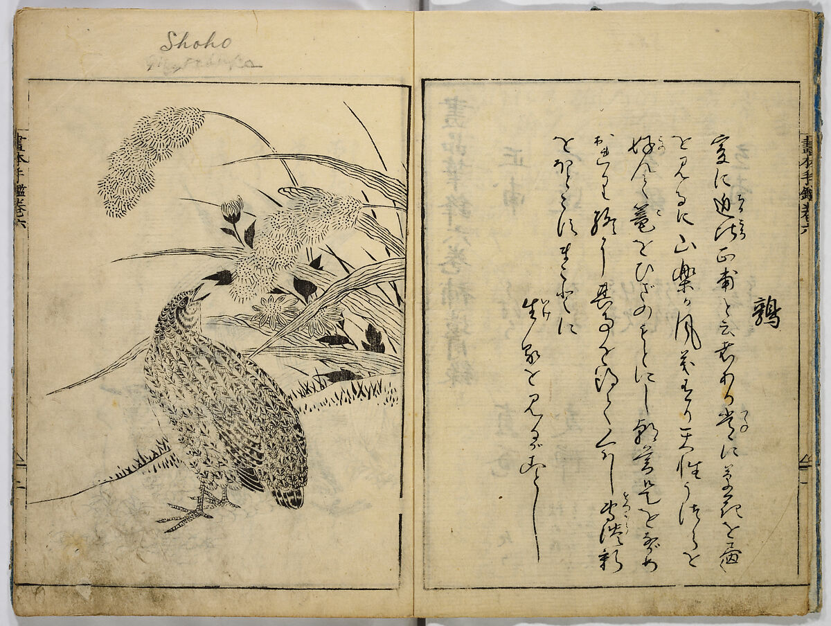 Book of Famous Japanese and Chinese Paintings, Ooka Shunboku (1680–1763), Twenty-five illustrated pages (5 originally black and white have been colored); ink and color on paper, Japan