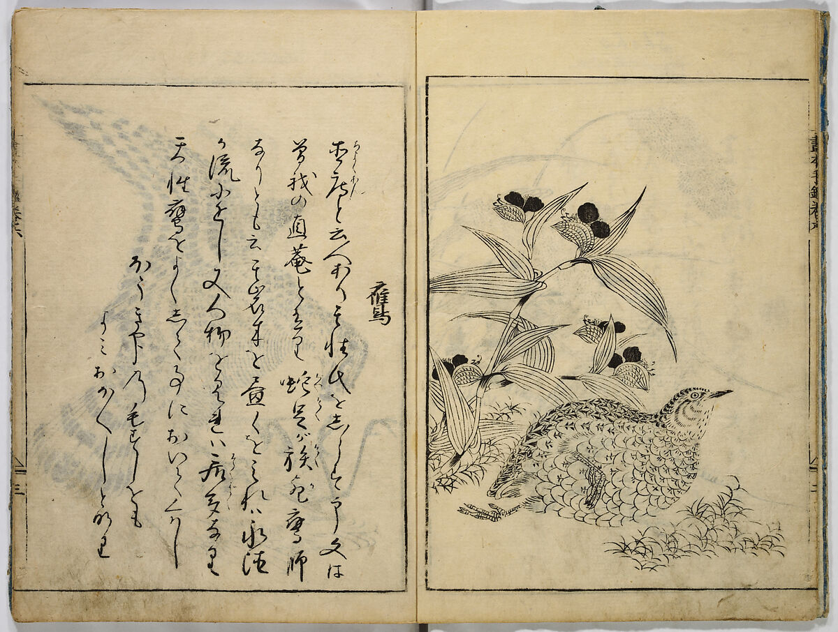 Book of Famous Japanese and Chinese Paintings, Ooka Shunboku (1680–1763), Twenty-five illustrated pages (5 originally black and white have been colored); ink and color on paper, Japan