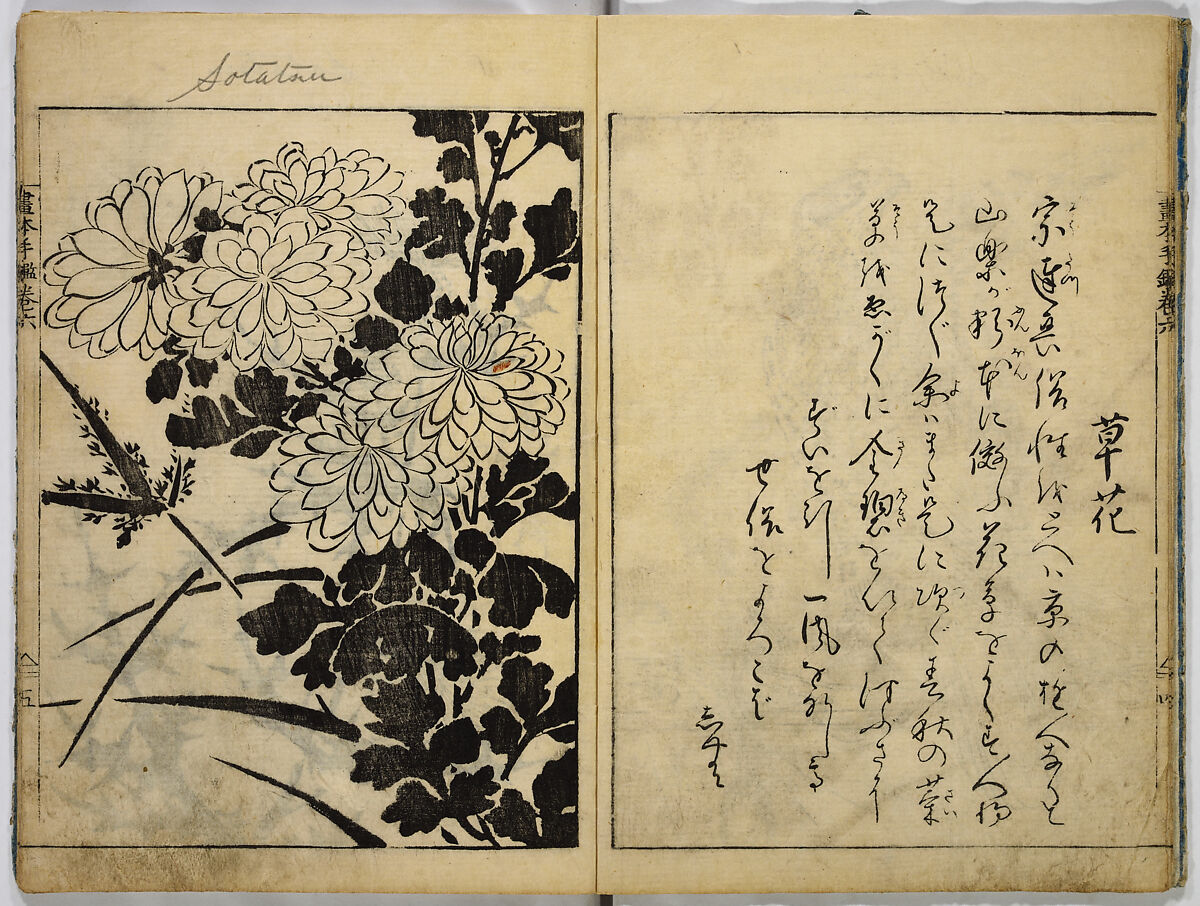 Book of Famous Japanese and Chinese Paintings, Ooka Shunboku (1680–1763), Twenty-five illustrated pages (5 originally black and white have been colored); ink and color on paper, Japan