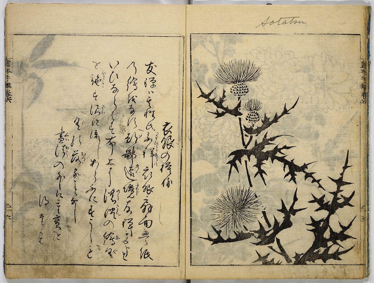Book of Famous Japanese and Chinese Paintings, Ooka Shunboku (1680–1763), Twenty-five illustrated pages (5 originally black and white have been colored); ink and color on paper, Japan
