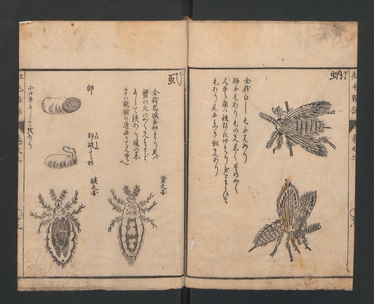 Encyclopedia of Western Art (Kōmō zatsuwa) 紅毛雑話, Morishima Chūryō 森島中 (Japanese, 1754–1810), Ink on paper, Japan